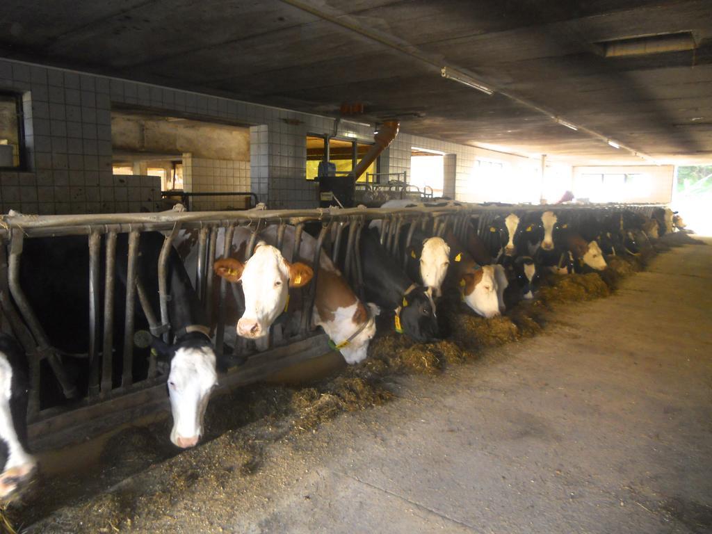 Ferienwohnung Am Bauernhof Strassonig Vulgo Hornis Moosburg Εξωτερικό φωτογραφία